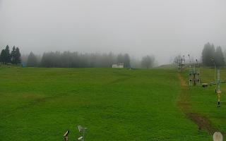 Zieleniec PTZ #2 - 02-08-2025 04:52
