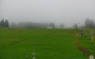 Zieleniec PTZ #2 - 02-08-2025 04:59