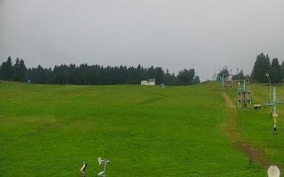 Zieleniec PTZ #2 - 02-08-2025 07:03