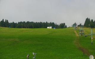 Zieleniec PTZ #2 - 02-08-2025 07:18