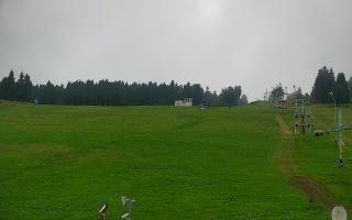 Zieleniec PTZ #2 - 02-08-2025 07:41