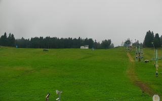 Zieleniec PTZ #2 - 02-08-2025 07:49