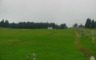 Zieleniec PTZ #2 - 02-08-2025 07:57