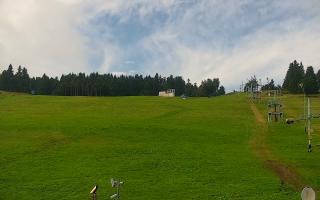 Zieleniec PTZ #2 - 02-08-2025 09:21