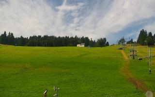 Zieleniec PTZ #2 - 02-08-2025 09:29