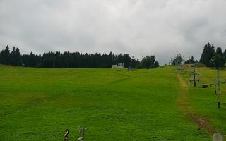 Zieleniec PTZ #2 - 02-08-2025 12:42