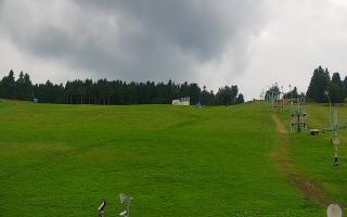 Zieleniec PTZ #2 - 02-08-2025 13:05