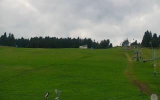 Zieleniec PTZ #2 - 02-08-2025 13:13