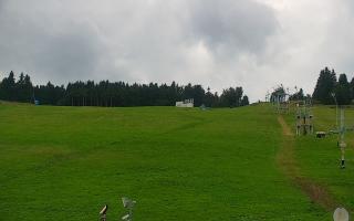 Zieleniec PTZ #2 - 02-08-2025 13:21