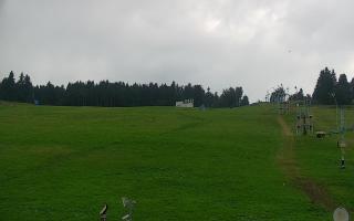 Zieleniec PTZ #2 - 02-08-2025 14:53