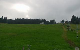 Zieleniec PTZ #2 - 02-08-2025 15:01
