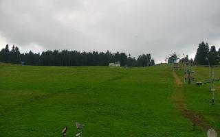 Zieleniec PTZ #2 - 02-08-2025 15:09