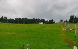 Zieleniec PTZ #2 - 02-08-2025 15:55
