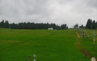 Zieleniec PTZ #2 - 02-08-2025 16:03