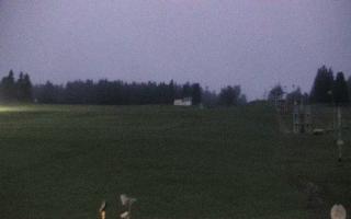 Zieleniec PTZ #2 - 03-08-2025 02:42