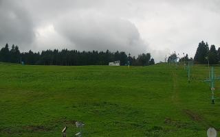 Zieleniec PTZ #2 - 16-09-2025 11:36