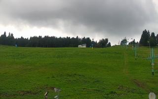 Zieleniec PTZ #2 - 16-09-2025 11:44