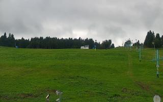 Zieleniec PTZ #2 - 16-09-2025 11:51