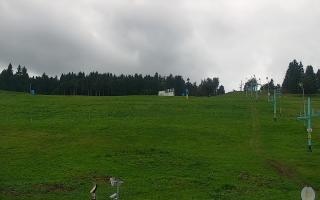 Zieleniec PTZ #2 - 16-09-2025 11:59