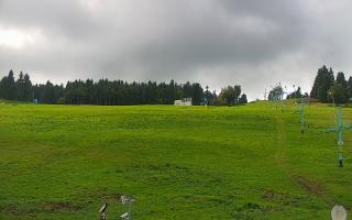 Zieleniec PTZ #2 - 16-09-2025 12:07