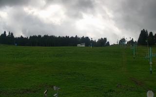 Zieleniec PTZ #2 - 16-09-2025 12:30