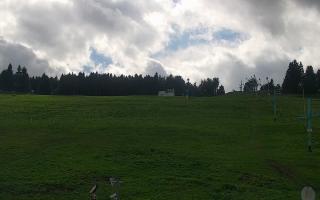 Zieleniec PTZ #2 - 16-09-2025 12:53