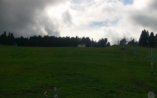 Zieleniec PTZ #2 - 16-09-2025 13:09