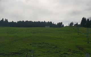 Zieleniec PTZ #2 - 16-09-2025 13:16