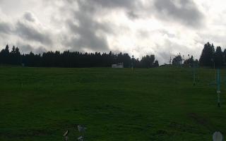 Zieleniec PTZ #2 - 16-09-2025 13:55
