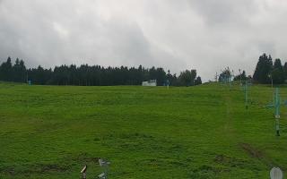 Zieleniec PTZ #2 - 16-09-2025 14:03