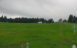 Zieleniec PTZ #2 - 16-09-2025 14:10