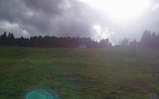 Zieleniec PTZ #2 - 16-09-2025 14:26
