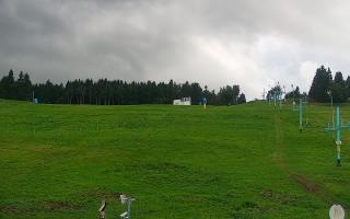 Zieleniec PTZ #2 - 16-09-2025 14:49