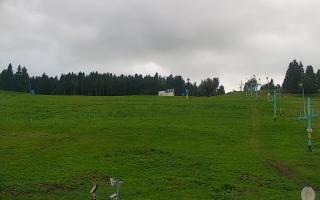 Zieleniec PTZ #2 - 16-09-2025 15:35