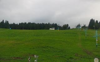 Zieleniec PTZ #2 - 16-09-2025 15:50