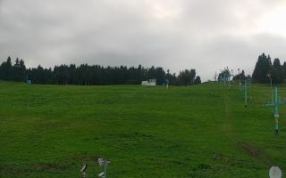 Zieleniec PTZ #2 - 16-09-2025 15:58