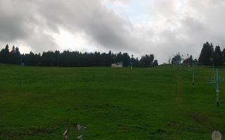 Zieleniec PTZ #2 - 16-09-2025 16:14