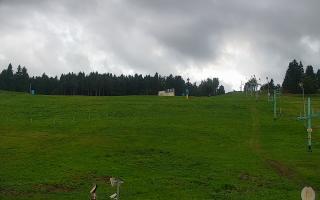Zieleniec PTZ #2 - 16-09-2025 16:21