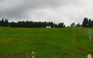 Zieleniec PTZ #2 - 16-09-2025 16:44