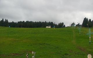 Zieleniec PTZ #2 - 16-09-2025 16:52