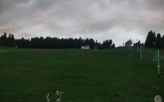 Zieleniec PTZ #2 - 16-09-2025 17:31