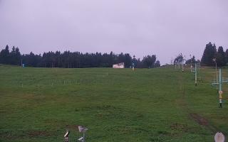 Zieleniec PTZ #2 - 18-09-2025 04:11