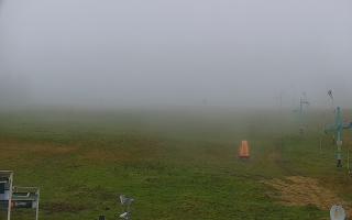 Zieleniec PTZ #2 - 29-10-2025 08:39