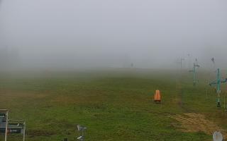 Zieleniec PTZ #2 - 29-10-2025 08:46