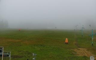 Zieleniec PTZ #2 - 29-10-2025 08:54