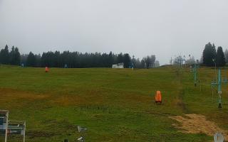 Zieleniec PTZ #2 - 02-11-2025 09:44