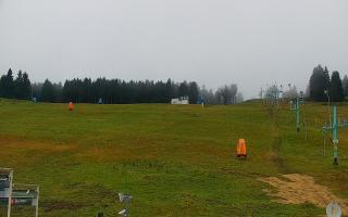 Zieleniec PTZ #2 - 02-11-2025 09:52