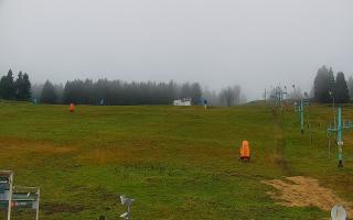 Zieleniec PTZ #2 - 02-11-2025 09:59