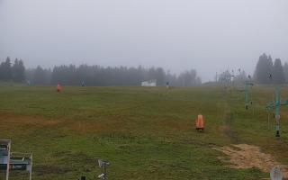 Zieleniec PTZ #2 - 03-11-2025 06:09