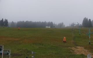 Zieleniec PTZ #2 - 03-11-2025 06:17